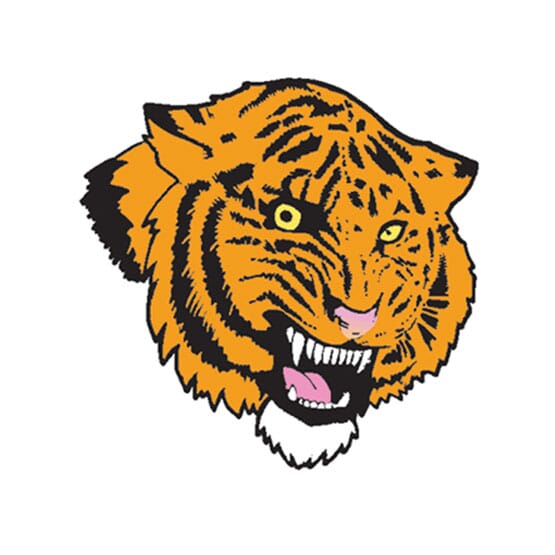 Temporary Tattoos Mascots