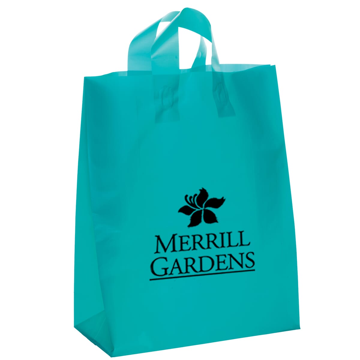 8" x 10" x 4" Brite Plastic Bag