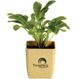 Single Potted Plant Kit