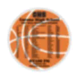 Spirit Sport Magnet- Basketball