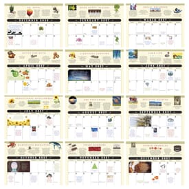 2020 American Spiral Wall Calendar