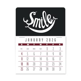2020 Contemporary Press-N-Stick™ Calendar