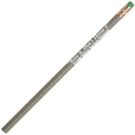 Recycled Currency Pencil