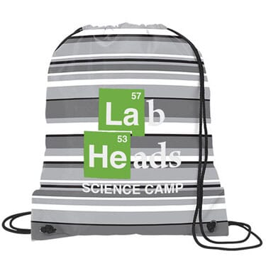Dressy Drawstring Backpack - Stripe