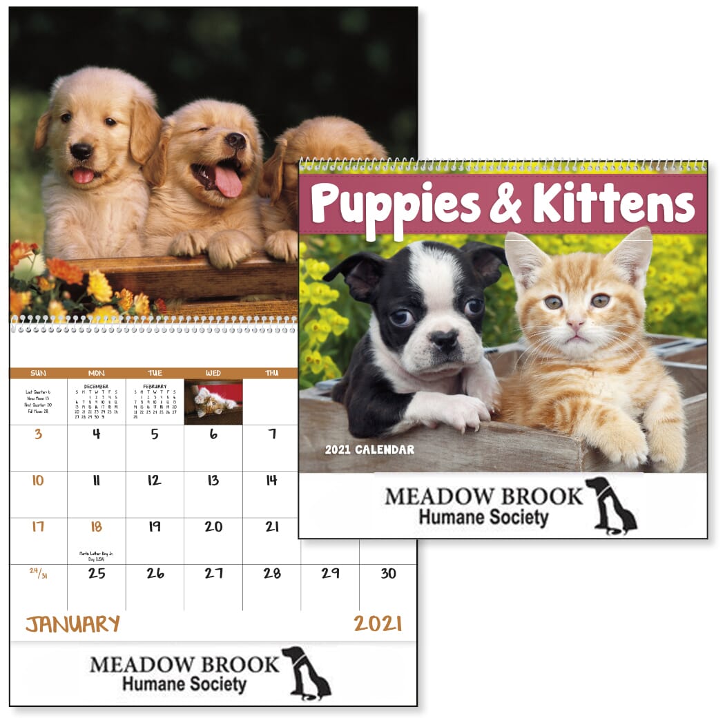 Pens And Paws Calendar 2023 2023 Puppies & Kittens Calendar - Spiral - Promotional Giveaway | Crestline