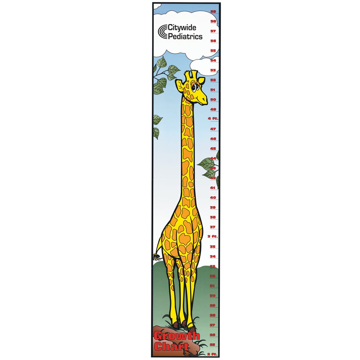 Giraffe Growth Chart