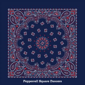 Classic Paisley Bandana