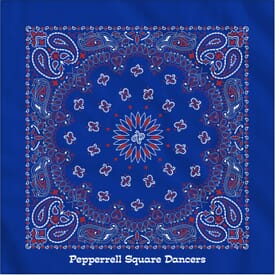 Classic Paisley Bandana