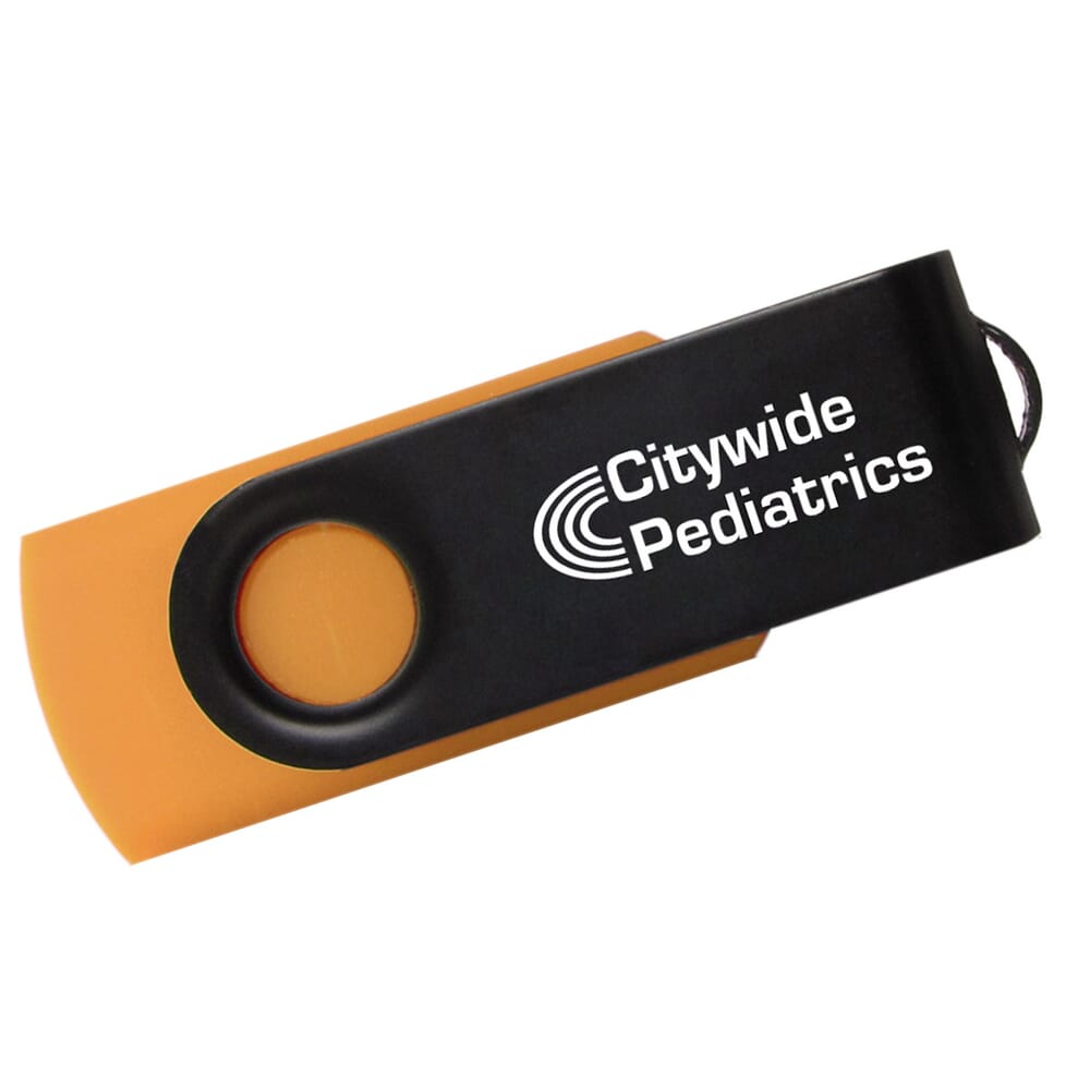 Swivel Flash Black 1GB