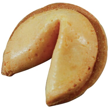 Good Fortune Cookie