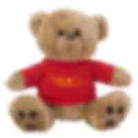Custom Teddy Bears | Personalized Teddy Bears - Bulk Order