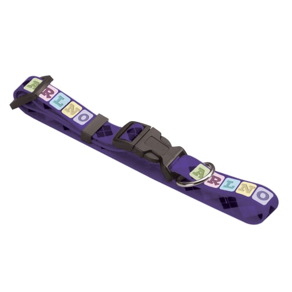 Full-Color 20" Pet Collar