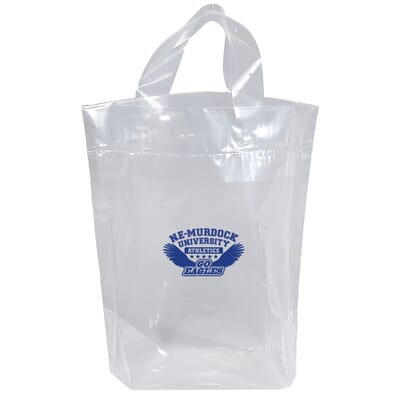 12 x 6 x 12 clear backpack