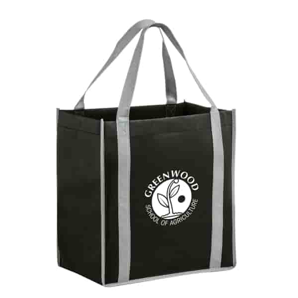 Best Value Accent Grocery Tote- Small