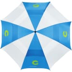 Hole-In-One Umbrella