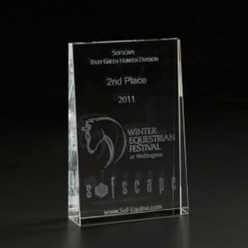 Square Wedge Award