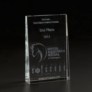 Square Wedge Award