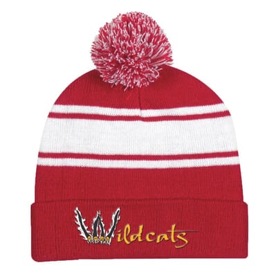 Dual Colors Top Pom Beanie