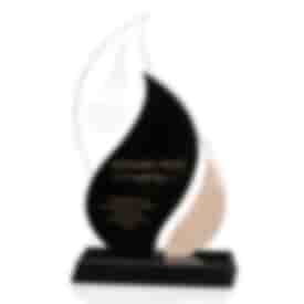 Blazing Sparks Award