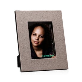 Ostrich Chic Frame