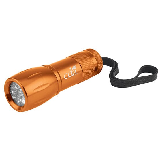 Torch Light