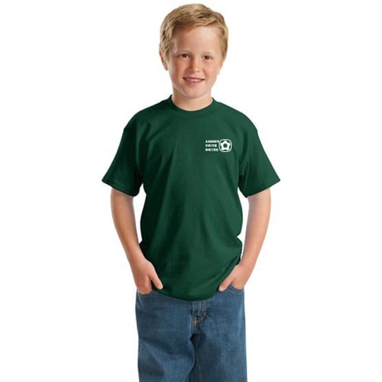 YOUTH SMALL Hanes ComfortSoft Short-Sleeve T-Shirts. 72 shirts per box. offers Price is per box.