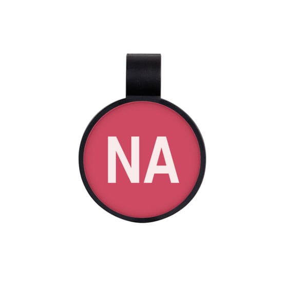 NURSING ASSISTANT