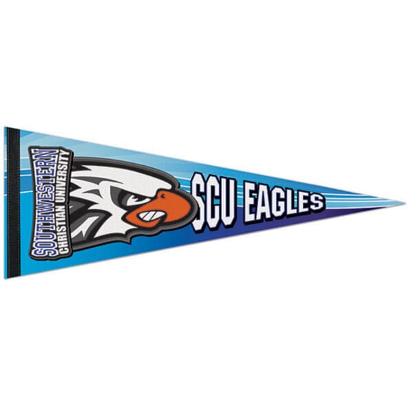 Premium Felt Pennant 9" x 24"