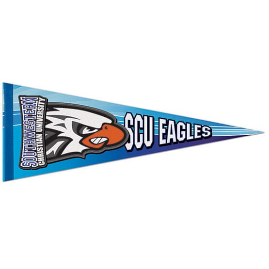 Premium Felt Pennant 9" x 24"