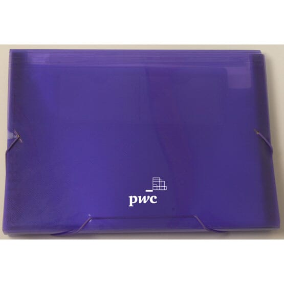 Simply Organization 13 Pocket File