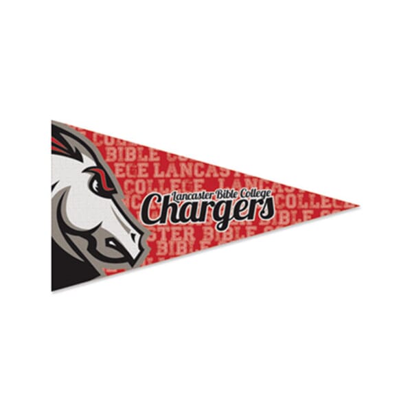 2 1/2" x 4 1/2" Pennant Magnet