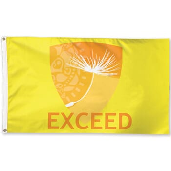 3' X 5' Full Color Flag