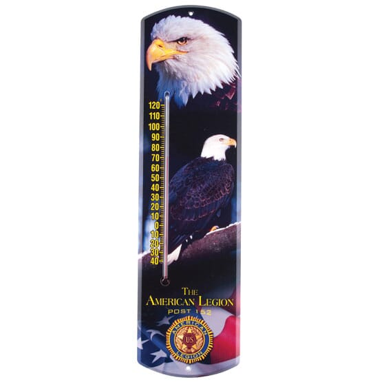 20" Indoor/Outdoor Thermometer