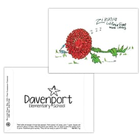 Dorothy's Kids Series Seed Packet- Zinnia