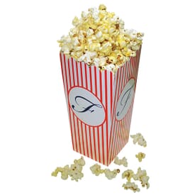 Popcorn Box Large Scoop