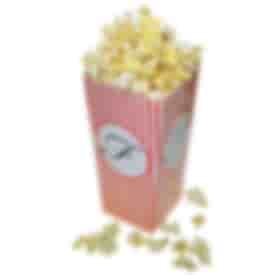 Popcorn Box Large Scoop