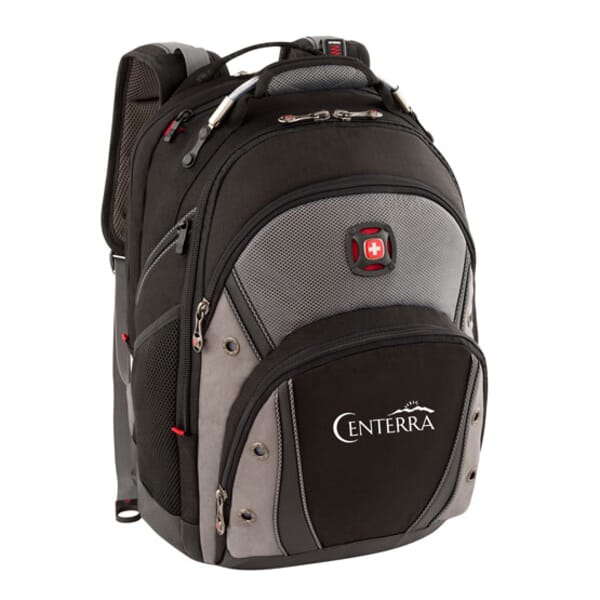 Wenger® Synergy Pro Backpack