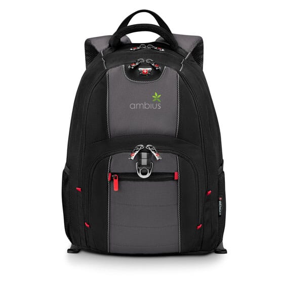 wenger pillar backpack