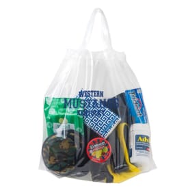12" x 12" x 6" Secured Clearance Draw Tape Plastic Bag