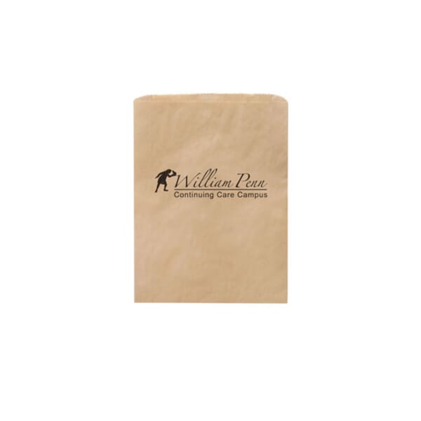 Medium Brown Paper Slip Bag
