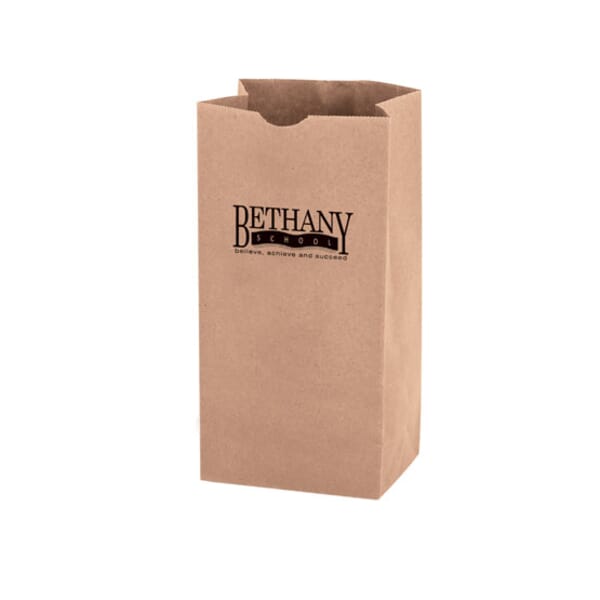 Large Heavy Weight Brown Paper Bag