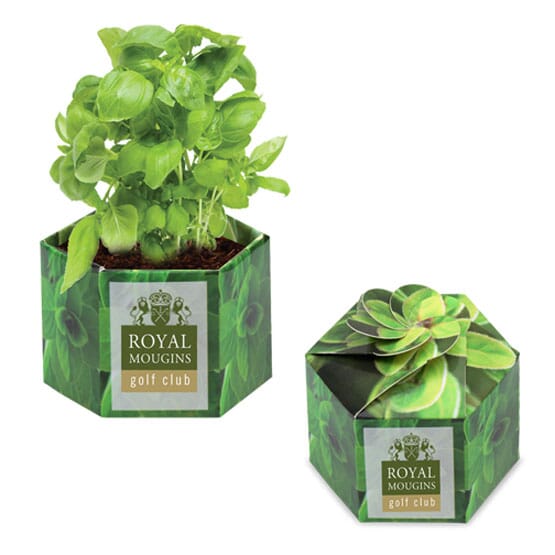 Pop-Up Planter Kit