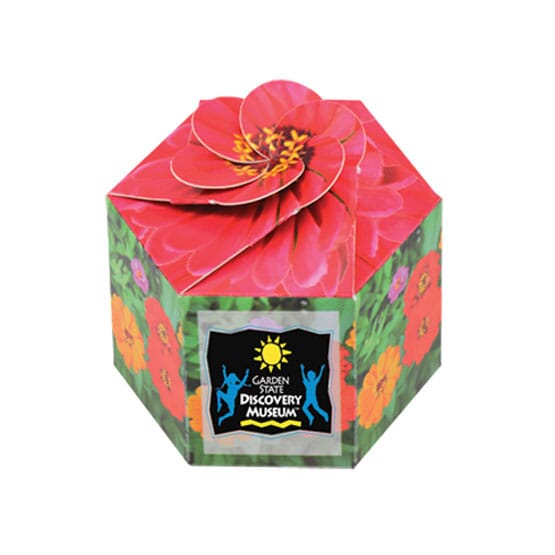 ZINNIA