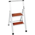 Foldable 2-Step Ladder
