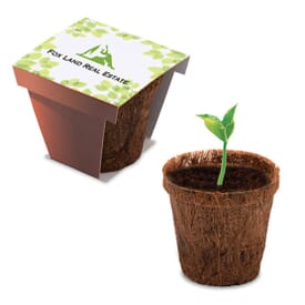 Plant Starter Kit