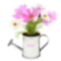 Custom Promotional Plants & Gardening Gifts