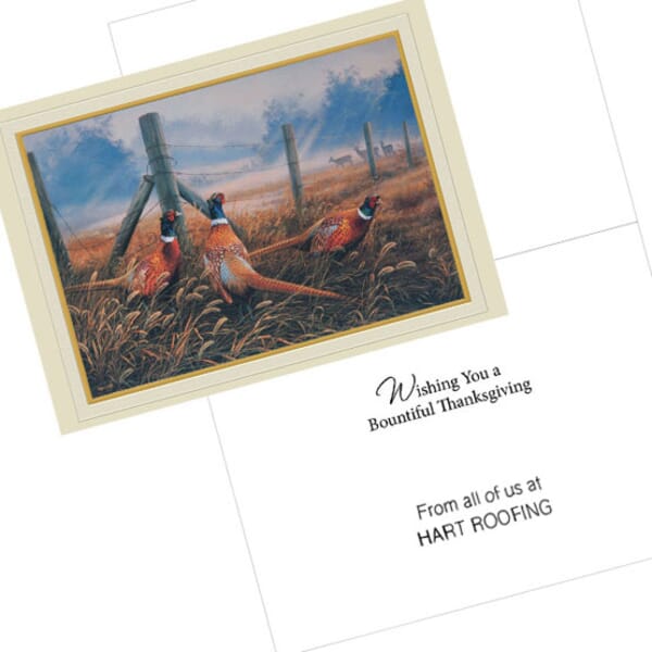 Thanksgiving Pheasant Greeting Card