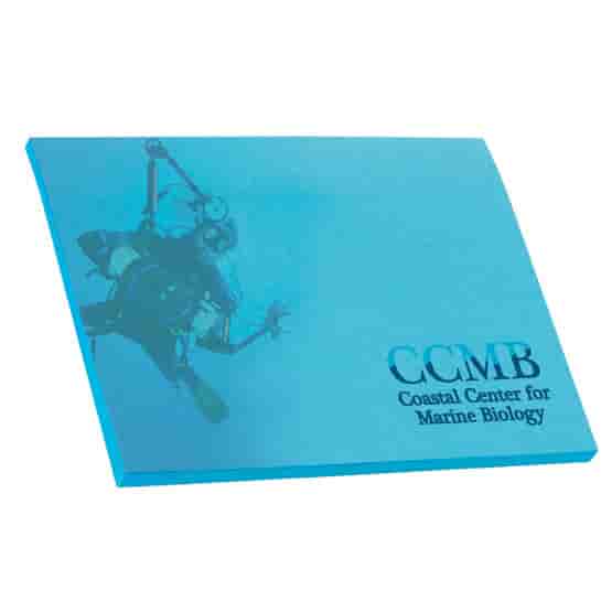 Bic® 4" x 3" Adhesive Colored Paper Notepad - 25 Sheet