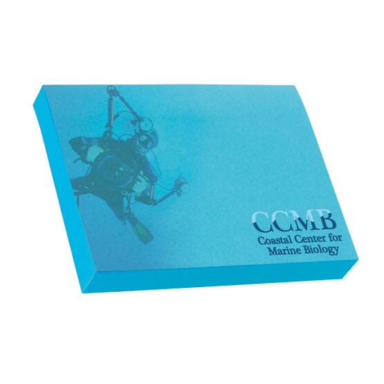 Bic® 4" x 3" Adhesive Colored Notepad - 100 Sheet