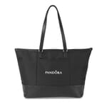 Traveling Office Bag